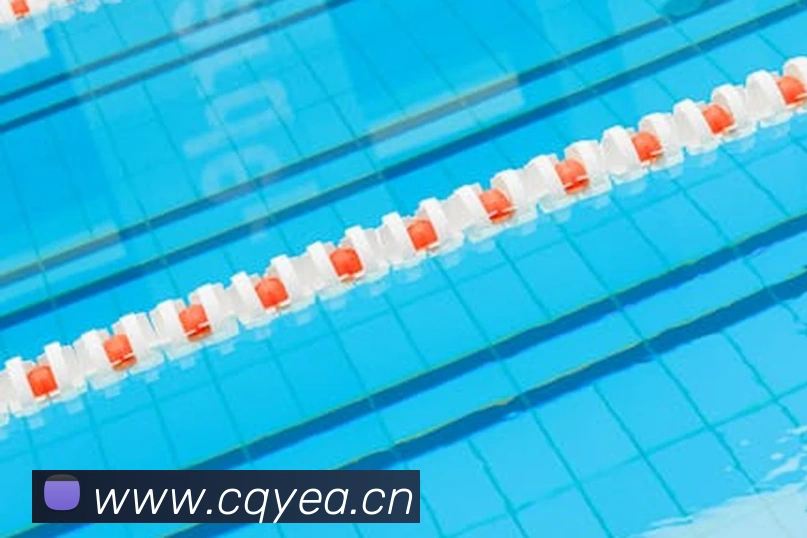 熊猫官网入口平台生态图